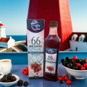 66 Mix Berry Juice | 1000ml
